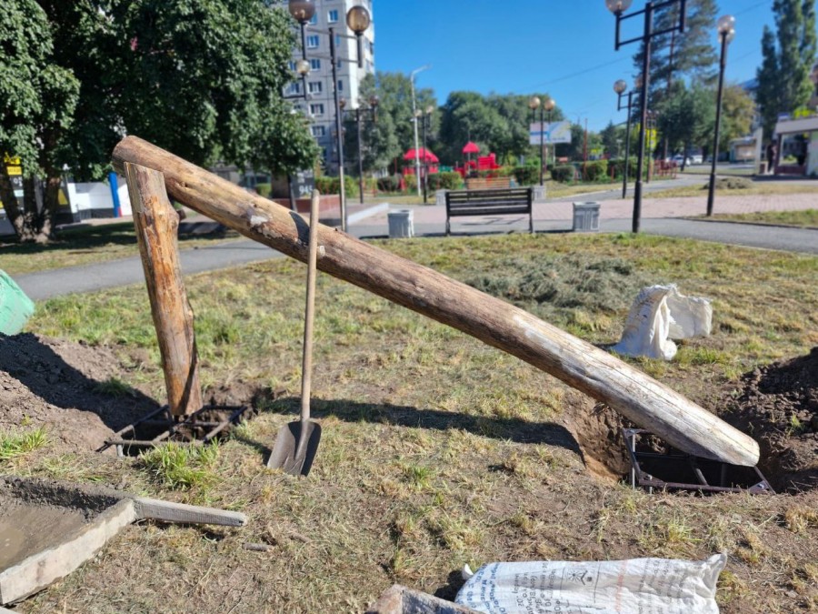 В Арсеньеве началась установка топиарных фигур