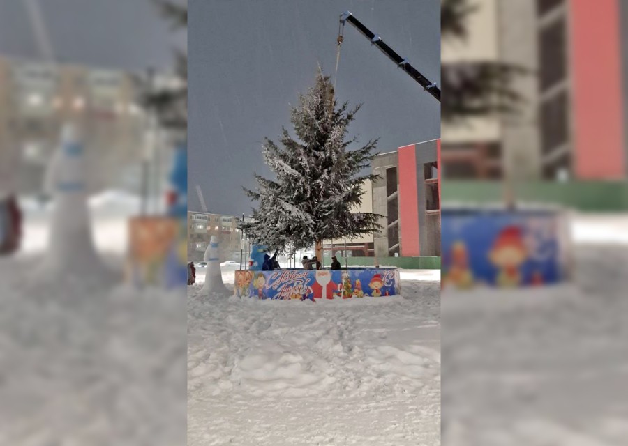 Новая ёлка в городе Арсеньев