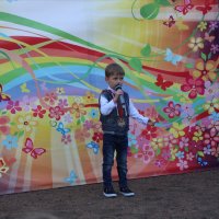 В рамках международного дня соседей в Арсеньеве прошел праздник «Замечательный сосед» 6