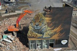 Во Владивостоке демонтировали знаменитую стену с леопардом на видовой площадке города