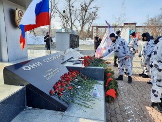 Арсеньевцы почтили память защитников Отечества 0