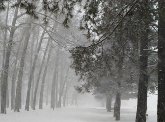 В Приморье объявлено штормовое предупреждение