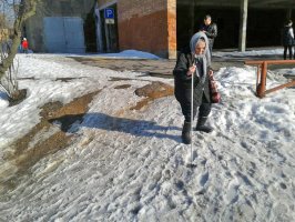 С лыжными палками пришли на выборы жители Владивостока