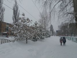 В Арсеньеве устраняются последствия снегопада 2