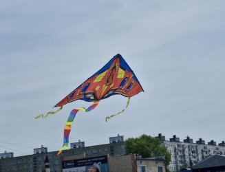 В Арсеньеве состоялся второй фестиваль воздушных змеев «Небо на ладони» 17