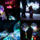 Фестиваль волшебных шаров в городе Арсеньев 5
