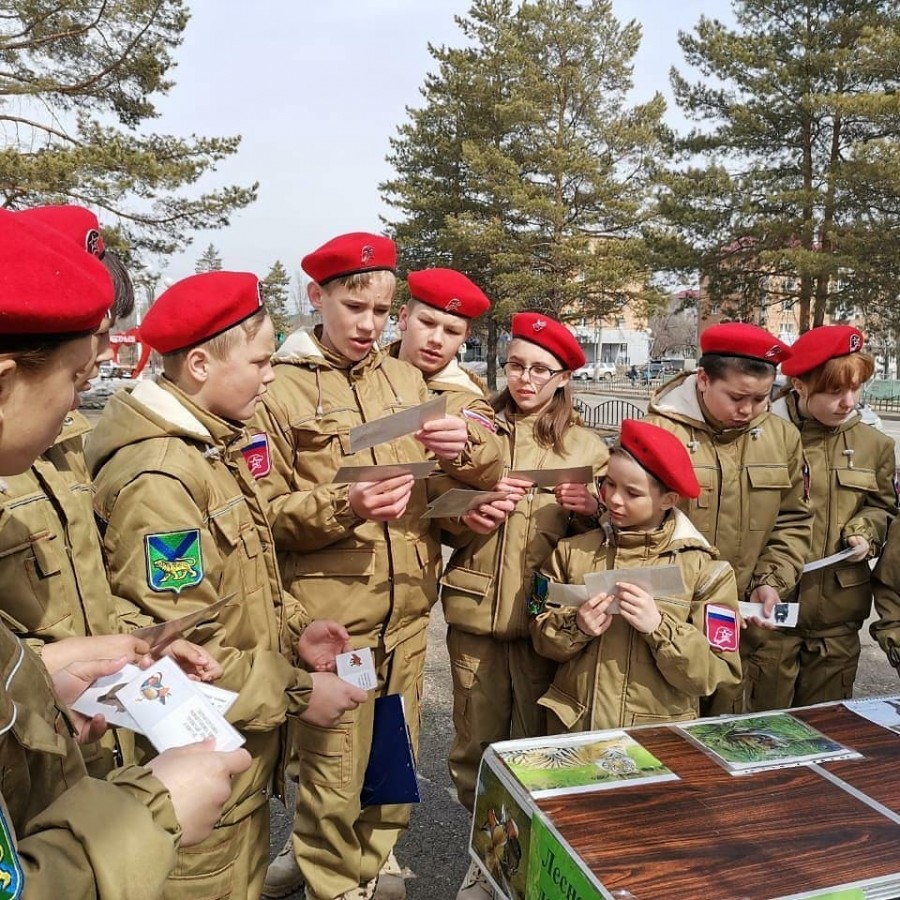 Молодогвардейцы приняли участие в игровой программе, посвященной Международному дню лесов