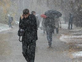 В Приморье из-за непогоды объявили штормовое предупреждение