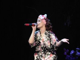 Премьера спектакля «Кошкин дом» состоялась 9 апреля на сцене Дворца культуры «Прогресс» 0