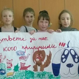 В день защиты бездомных животных юннаты Арсеньева провели акцию «Мы в ответе за тех, кого приручили» 2