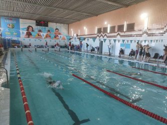 В спортивной школе «Полет» проходит Чемпионат Приморского края по плаванию