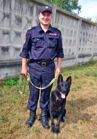 ​Служебная собака помогла полицейским в задержании подозреваемого в особо тяжком преступлении 0