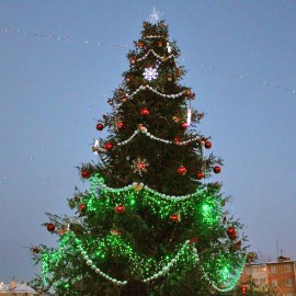 25 декабря в Арсеньеве торжественно открылась городская новогодняя елка 7