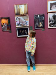 Приморская государственная картинная галерея объявила конкурс фотографии «Мой любимый питомец» 0