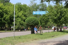 Работники «Чистый город» приступили к покосу травы и фигурной обрезке деревьев