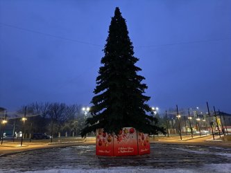 В Арсеньеве на Комсомольской площади заканчивают монтаж новогодней ёлки