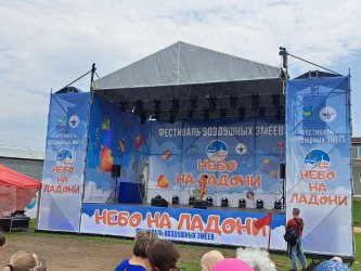 В Арсеньеве состоялся второй фестиваль воздушных змеев «Небо на ладони» 26