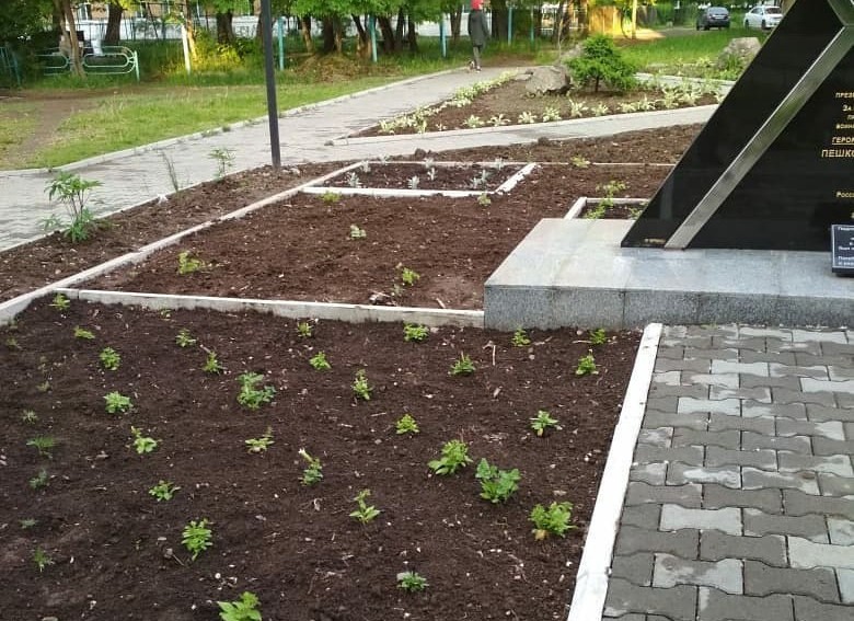 В сквере возле памятника Олегу Пешкову волонтеры высадили цветы
