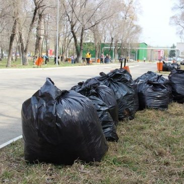 В Арсеньеве прошли акции по весенней уборке города в рамках Всероссийского субботника. 0