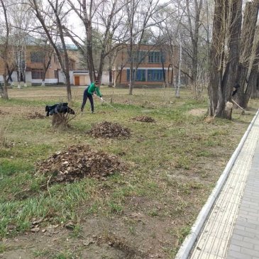 В Арсеньеве прошли акции по весенней уборке города в рамках Всероссийского субботника. 5