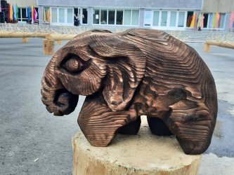 В Арсеньеве прошел конкурс «Лучший лесоруб Приморья 2023» 6