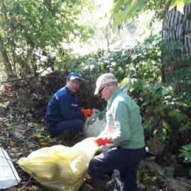 Жители Арсеньева приняли участие во Всероссийской акции по очистке берегов малых рек и водоемов 5