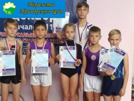 Арсеньевские спортсмены – победители открытого Первенства Приморского края