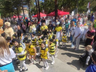 Фестиваль «Арсеньевская осень» открылся шествием воспитанников детских садов 3