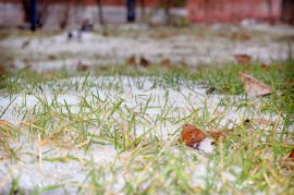 В Приморье прошёл первый настоящий снегопад 1