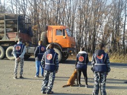 ​Сотрудники полиции и дружинники провели профилактический рейд в Арсеньеве Приморского края 1