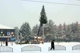 На центральной площади Арсеньева идет монтаж новогодней елки 0