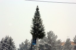 На центральной площади Арсеньева идет монтаж новогодней елки 2