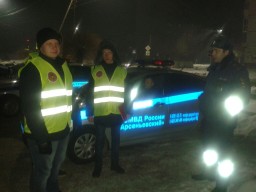 Арсеньевская полиция обеспечила охрану общественного порядка на Крещение 0