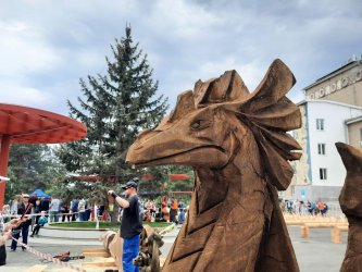В Арсеньеве прошел конкурс «Лучший лесоруб Приморья 2023» 5