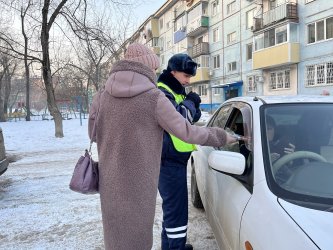 МВД России «Арсеньевский» провели рейд на улицах города 2