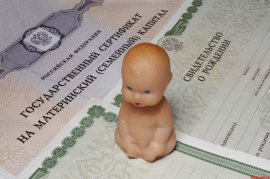 За первое полугодие приморские семьи распорядились материнским капиталом на 1,4 млрд рублей