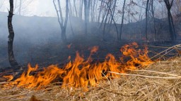 На территории Приморского края введен особый противопожарный режим