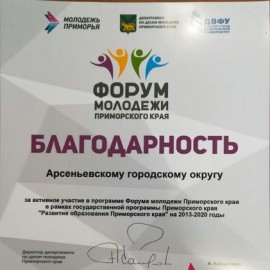 Арсеньевцы приняли участие в Форуме молодежи Приморского края 0
