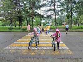 В арсеньевских детских садах идет неделя безопасности дорожного движения «Умелый пешеход»