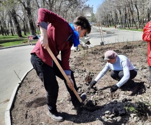 В Арсеньеве высажены деревья в рамках акции «Сад памяти» 3