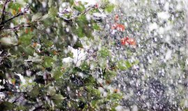 Ливни и штормовой ветер накроют Приморье в середине недели