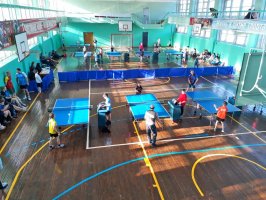 В Арсеньеве прошел Открытый Чемпионат по настольному теннису