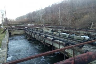 Качество воды улучшат в Спасске-Дальнем и Фокино