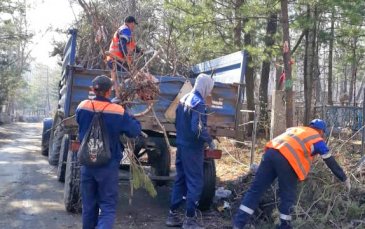 В Арсеньеве на территориях двух городских кладбищ идет уборка и вывоз мусора