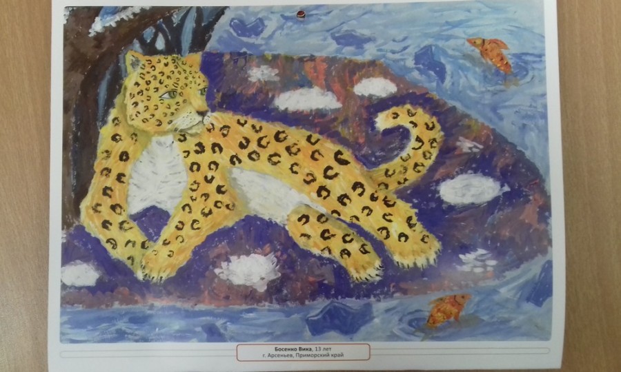 ​Конкурс рисунков «Сохраним дальневосточного леопарда вместе!»