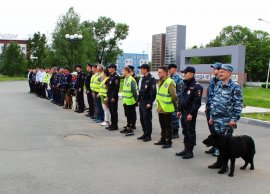 Командир ДНД Арсеньевского городского округа поделился опытом работы в программе «Вести: Приморье» 0