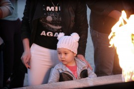 Факельное шествие Арсеньев 2017