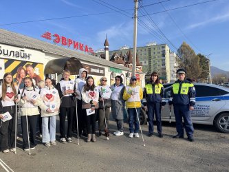 В Арсеньеве полицейские и общественники провели акцию «Белая трость» 0