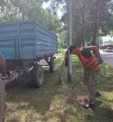 Арсеньев. Уход за городом. 0