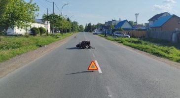 Госавтоинспекция МО МВД России «Арсеньевский» сообщает